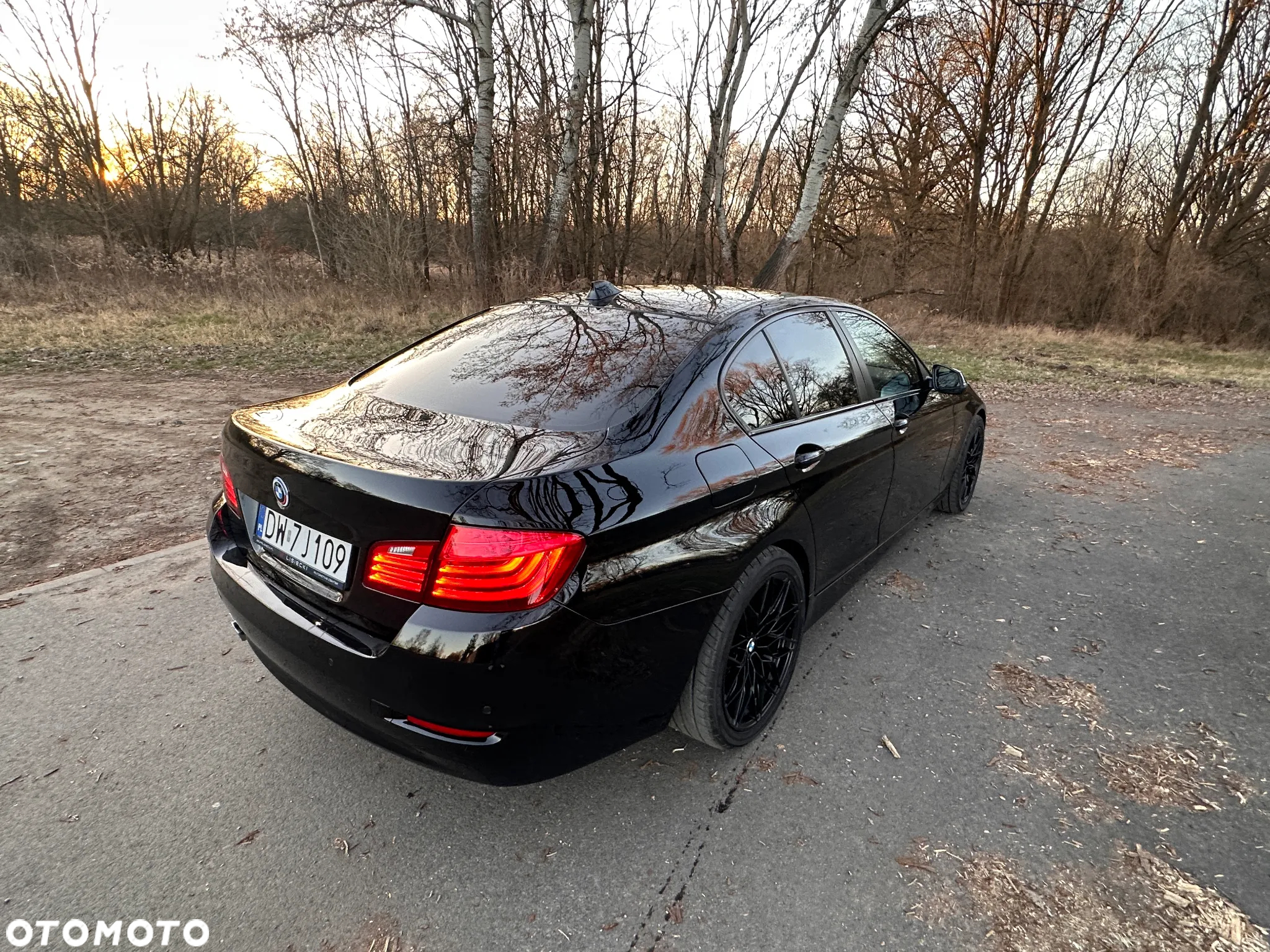 BMW Seria 5 518d Luxury Line - 18