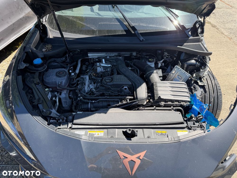 Cupra Terramar 1.5 eTSI mHEV Advantage Edition DCC DSG - 11
