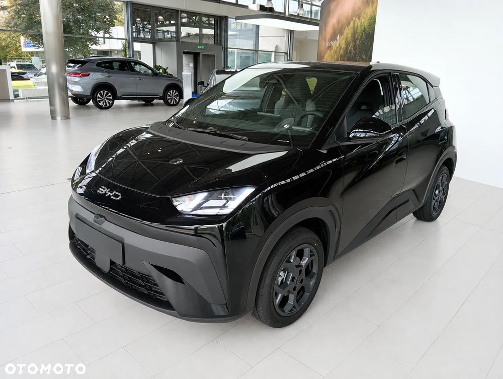 BYD Dolphin Surf 43.2kWh Boost - 2