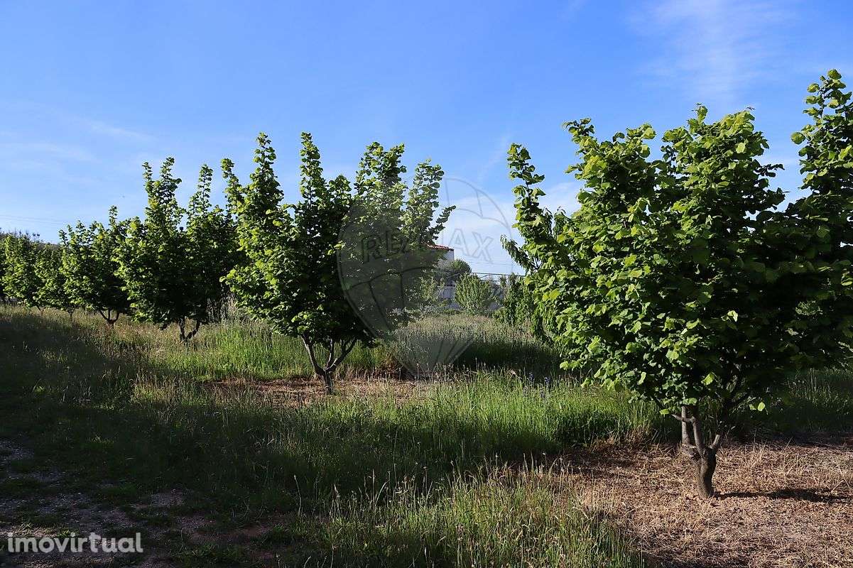 Terreno  para venda - Grande imagem: 3/8