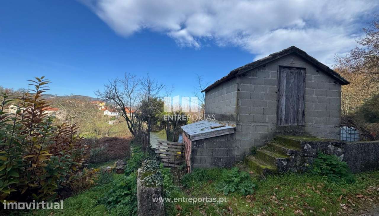 Venda Terreno, Cinfães, Cinfães - View 6