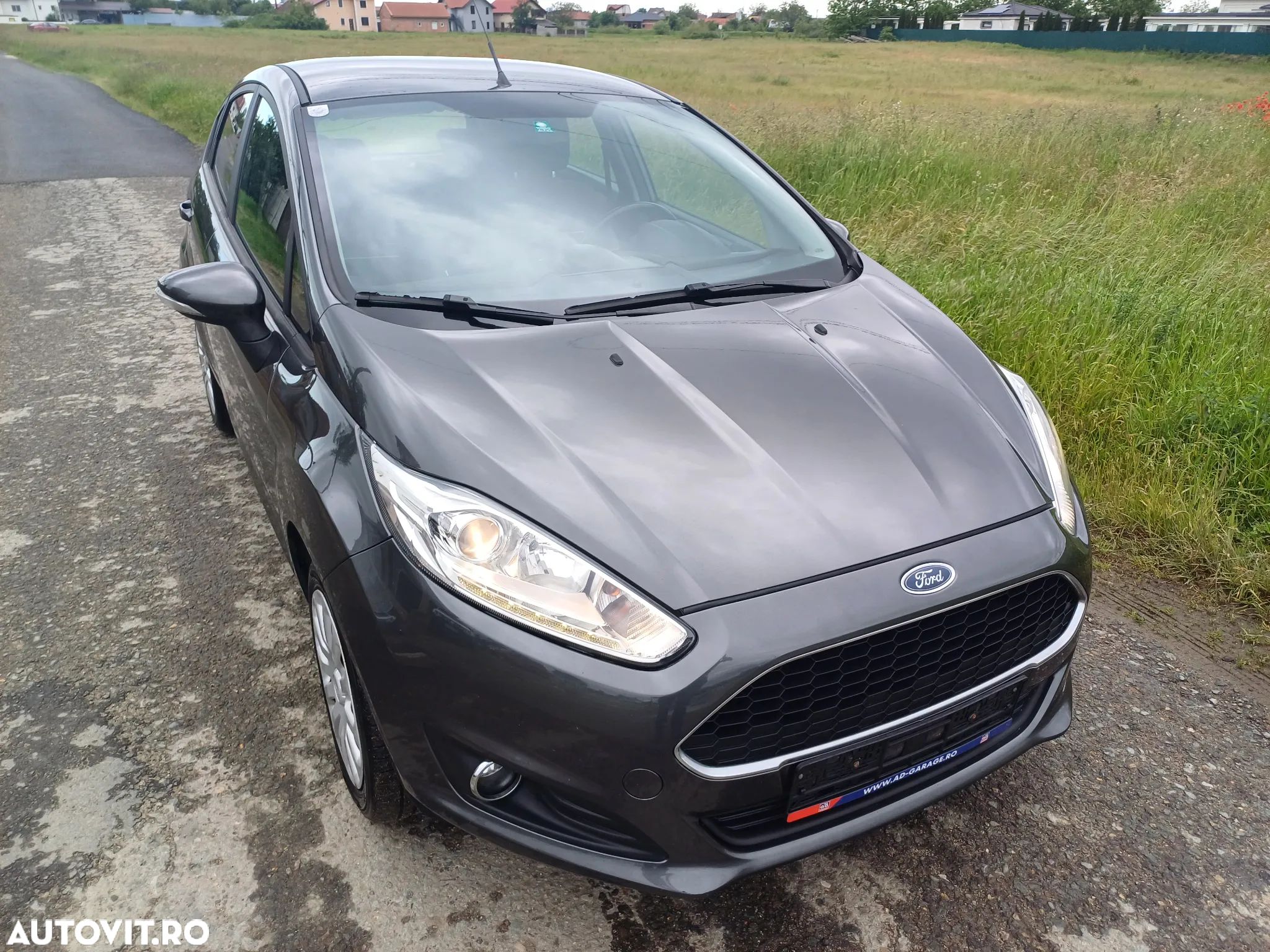 Ford Fiesta - 1