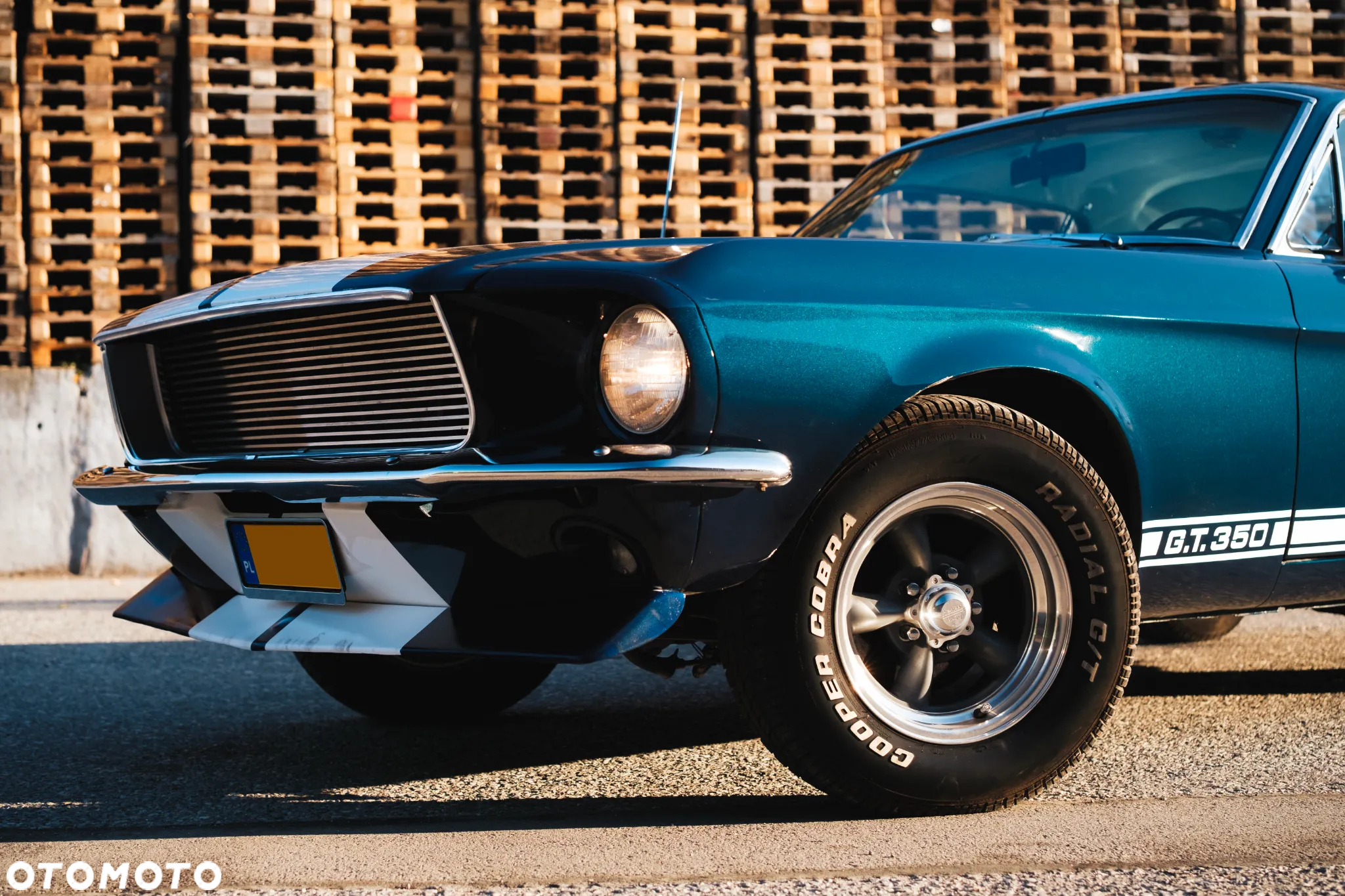 Ford Mustang - 6