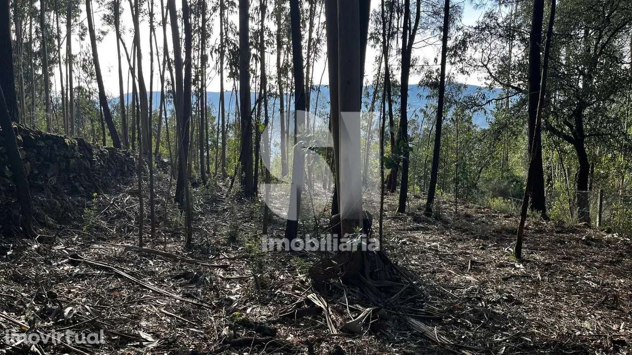 Vendo Terreno para Construção - 2.057m2 - Grande imagem: 3/7