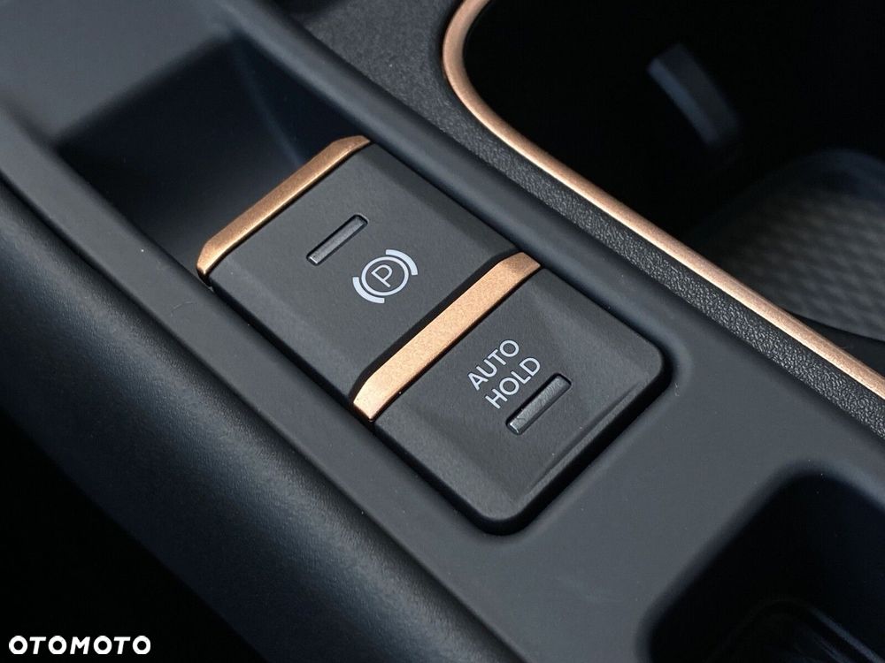 Cupra Terramar 2.0 TSI 4Drive VZ DSG - 23