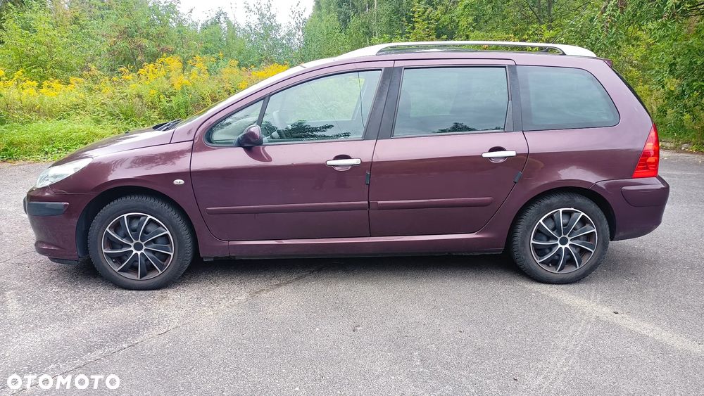 Peugeot 307 2.0 - 4