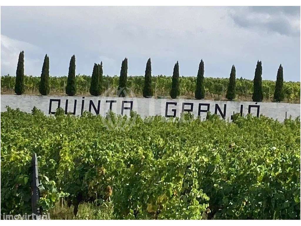 Quinta com 9 hectares, no Alto Douro Vinhateiro, Porto - Grande imagem: 2/22