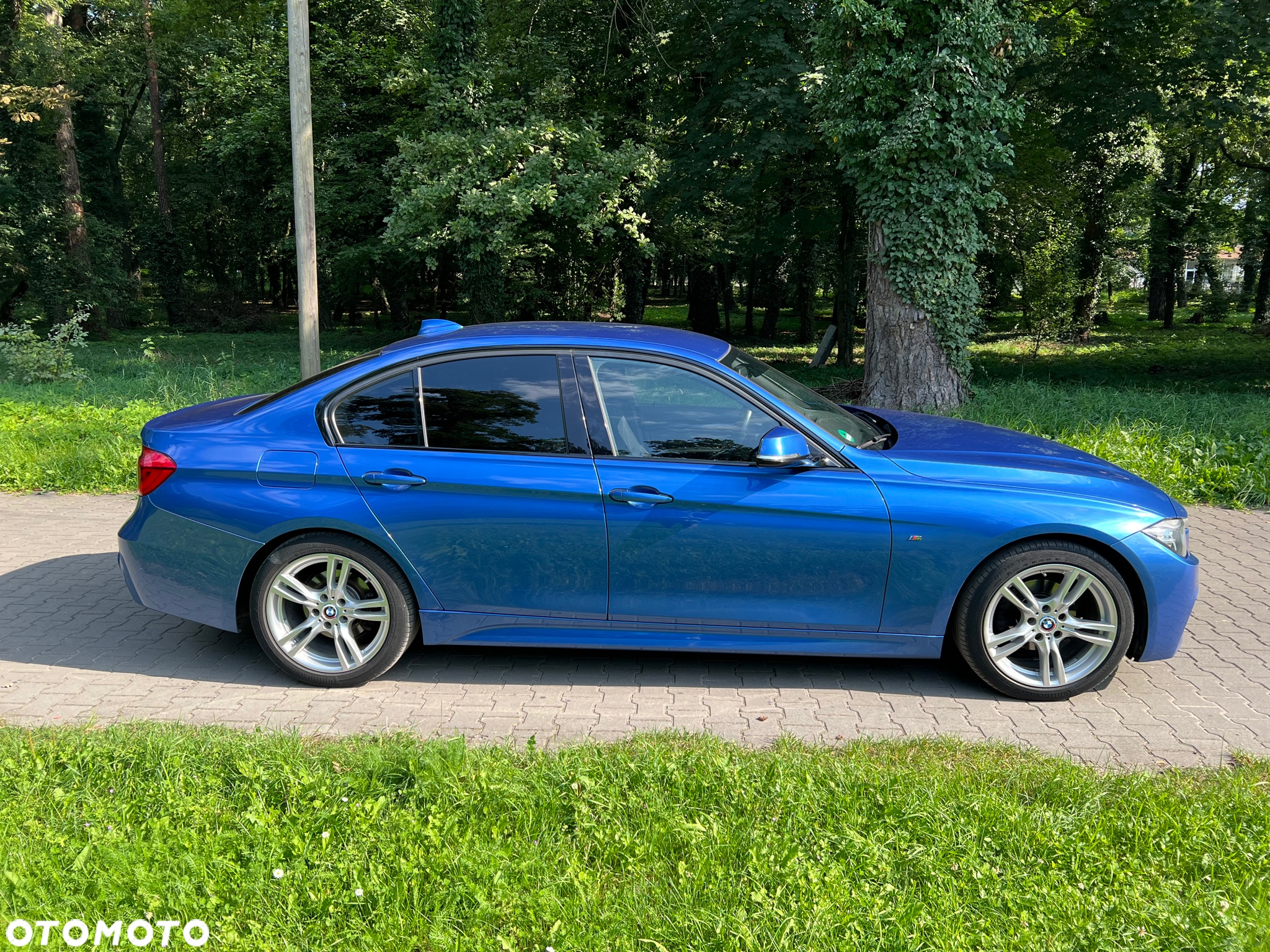 BMW Seria 3 316d M Sport Shadow - 9