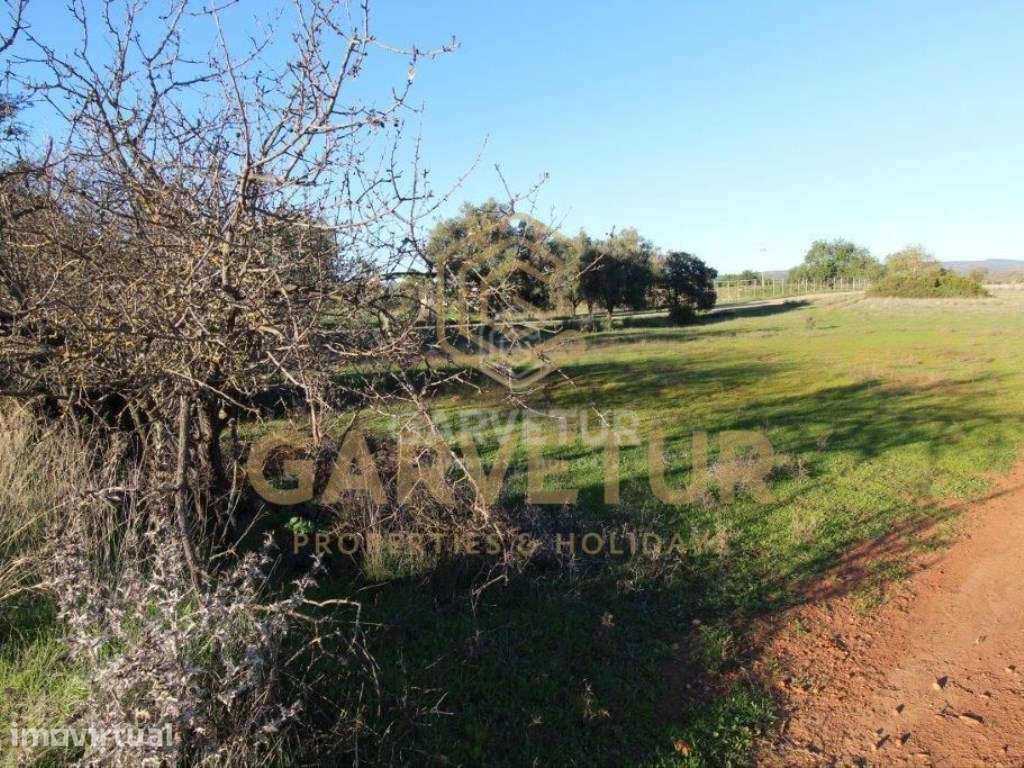 Terreno rústico, em zona agrícola, Curral da Pedra, Paderne, Albufe... - Grande imagem: 2/19