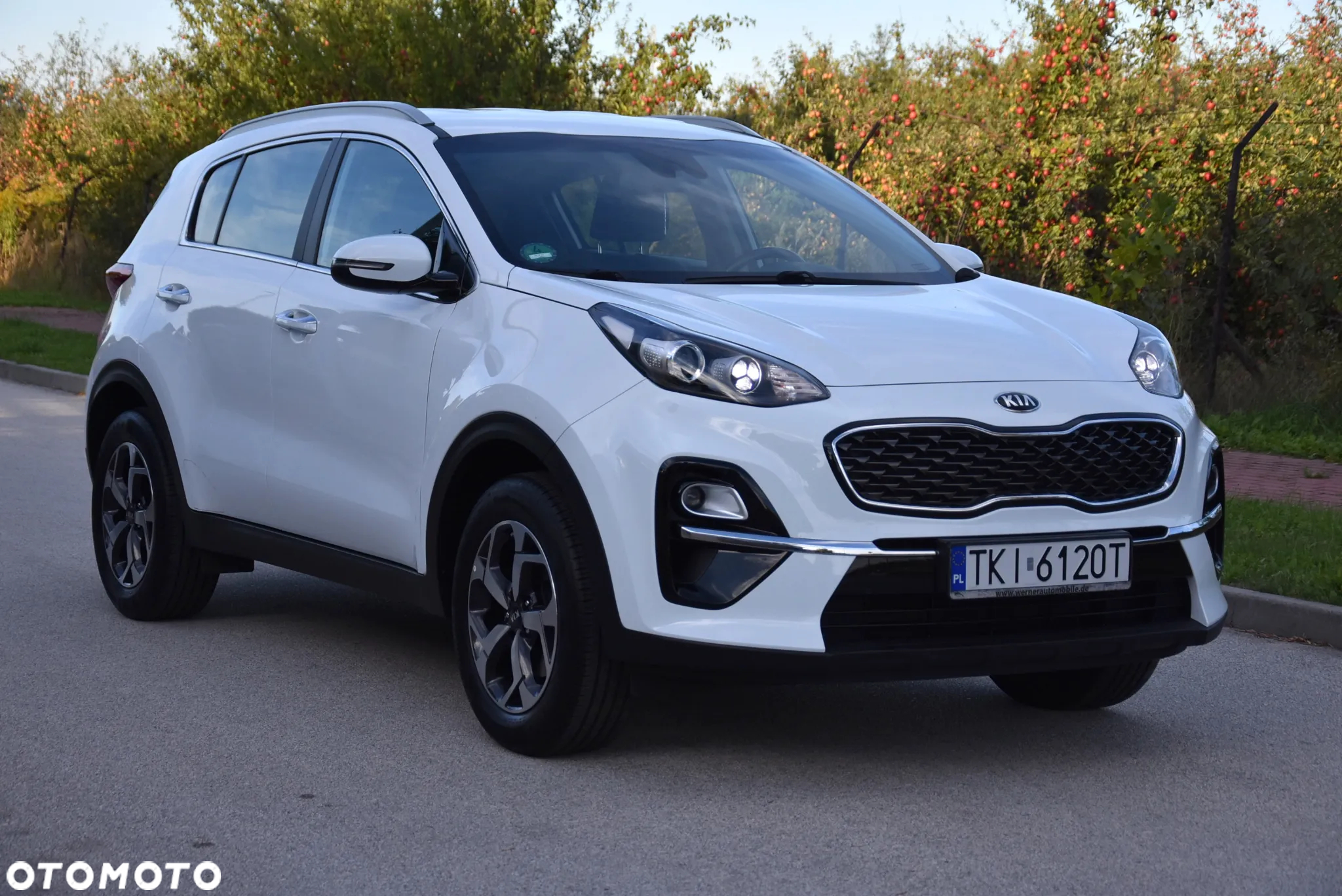 Kia Sportage 1.6 GDI L 2WD - 2