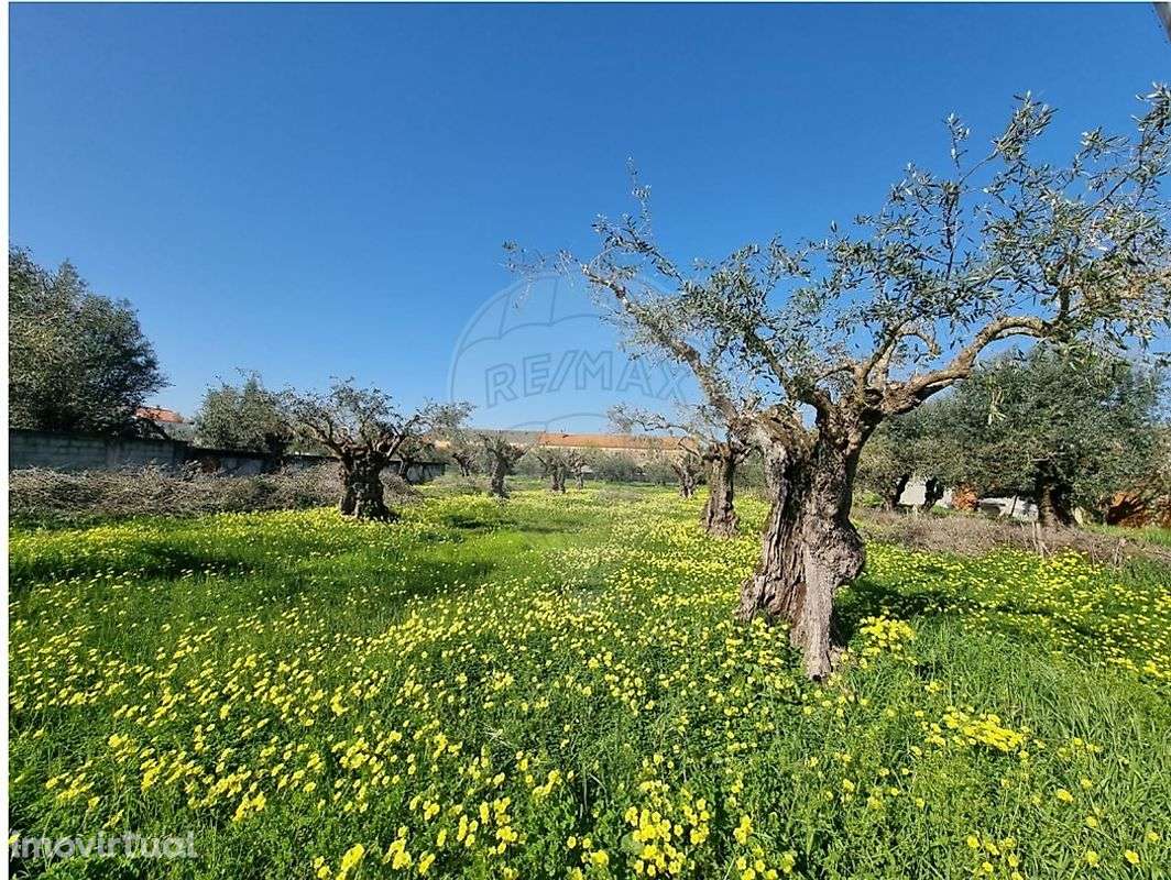 Terreno  para venda - Grande imagem: 4/15