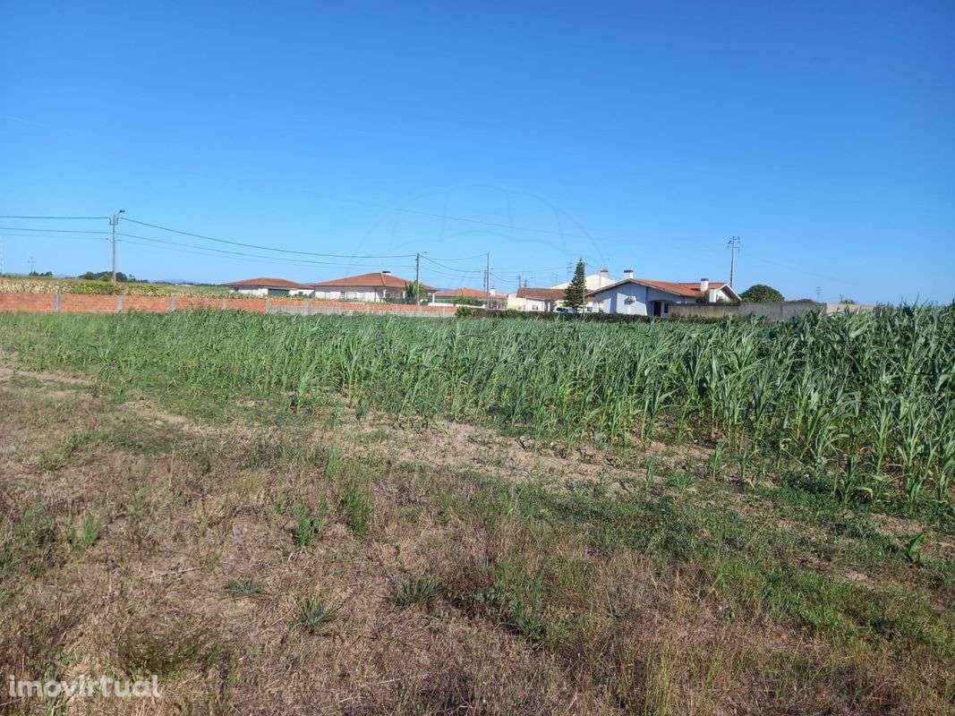 Terreno  para venda - Grande imagem: 5/7