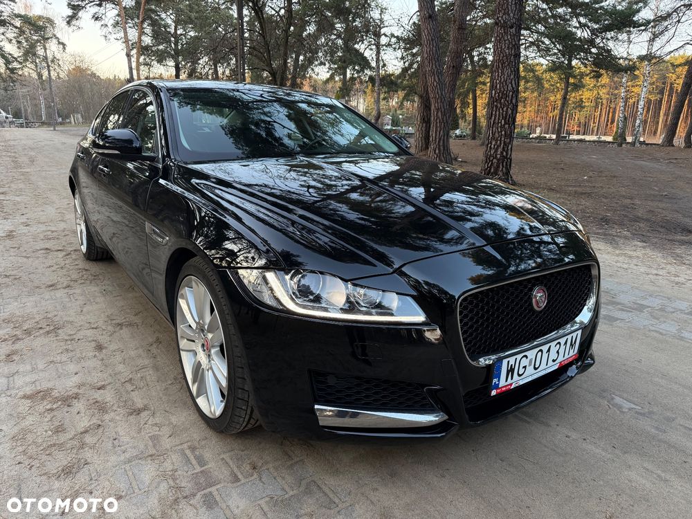 Jaguar XF 3.0 TDV6 Portfolio - 2