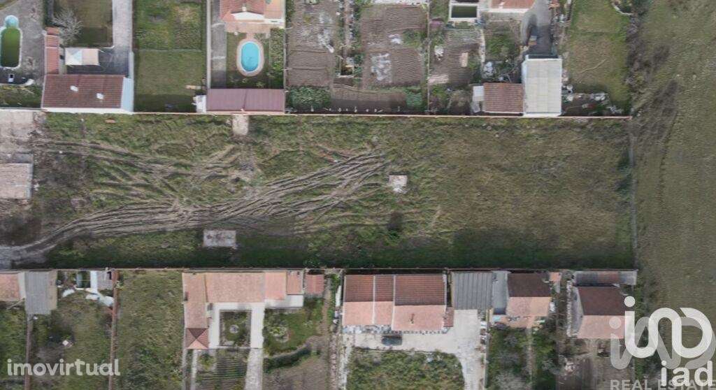 Terreno para construção em Almargem do Bispo, Pêro Pinheiro e Montelav - Grande imagem: 3/22