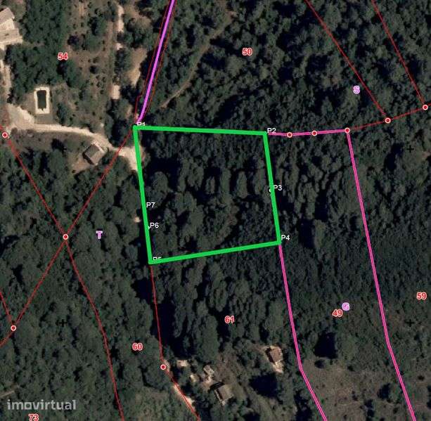 Exclusiva Ruína com Projeto de Reabilitação na Serra da Arrábida - Grande imagem: 2/7