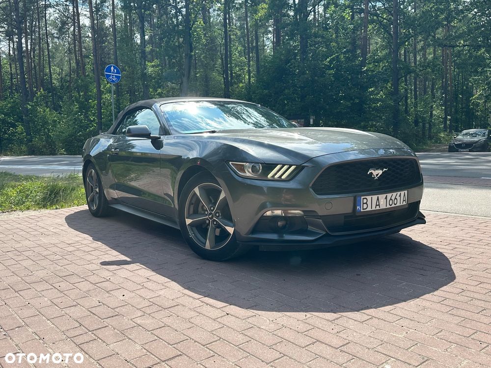 Ford Mustang - 1