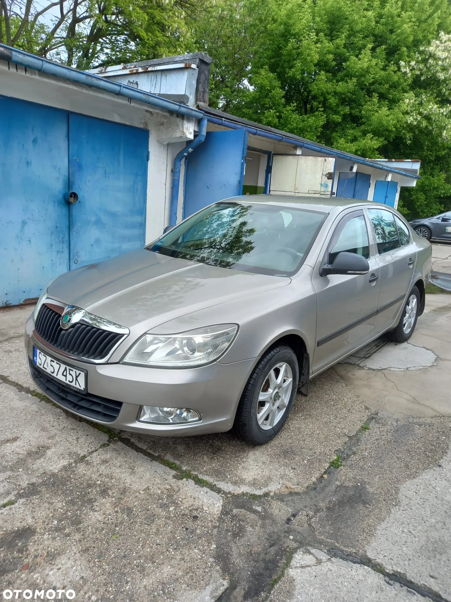 Skoda Octavia 1.6 Classic - 2