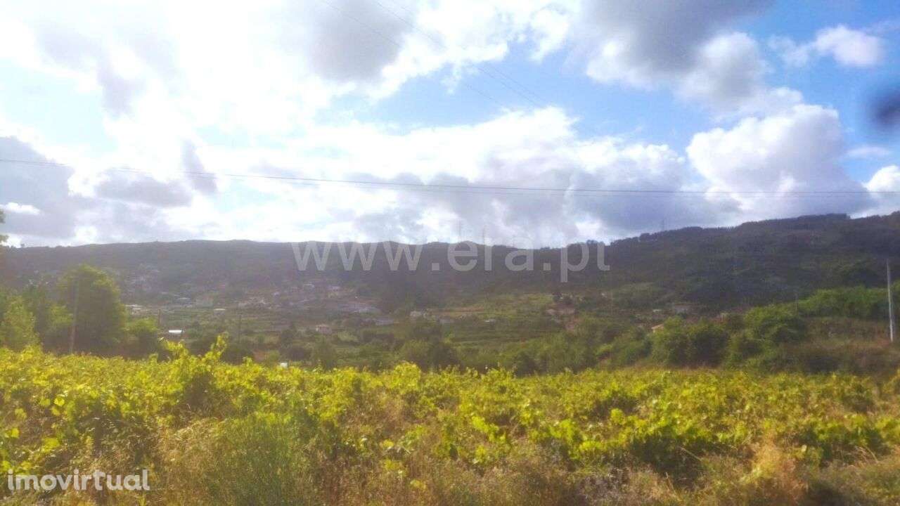 Terreno / Baião, Gove - Grande imagem: 3/5