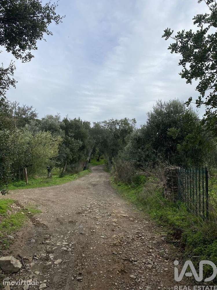 Terreno Agrícola em São Brás de Alportel - Grande imagem: 5/14