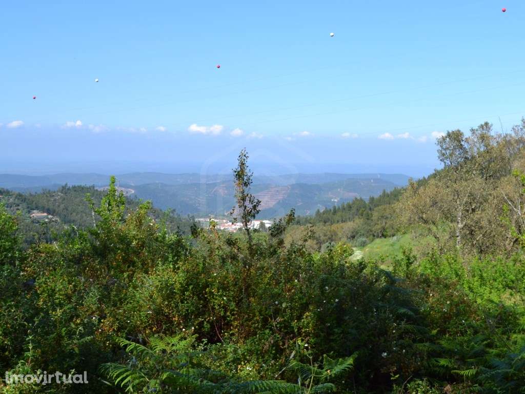 Terreno rústico com 6.120 m2 em Alferce, Monchique, Algarve - Grande imagem: 2/14
