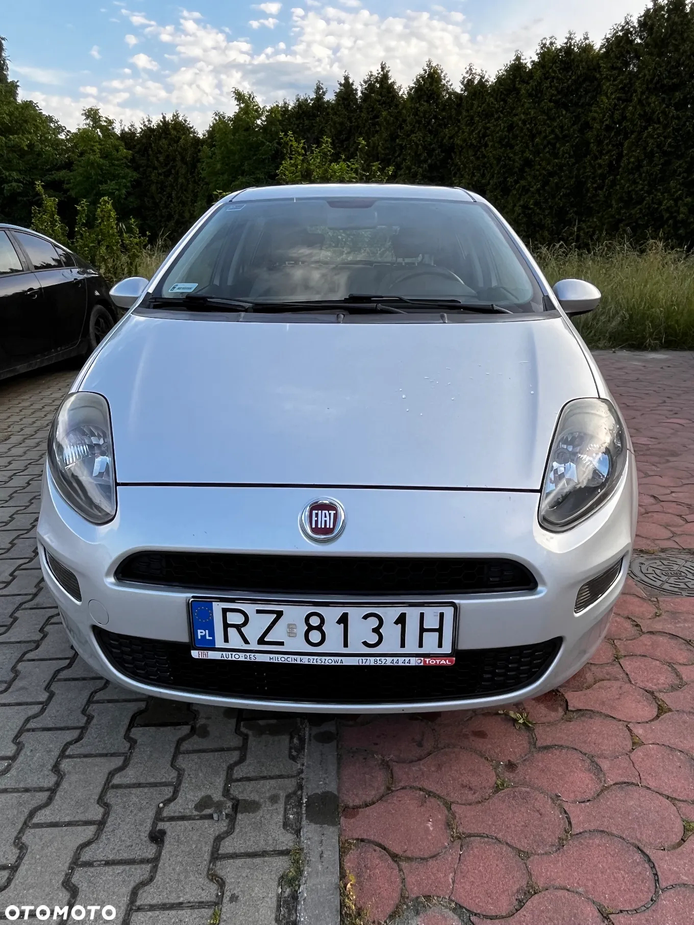 Fiat Punto - 7