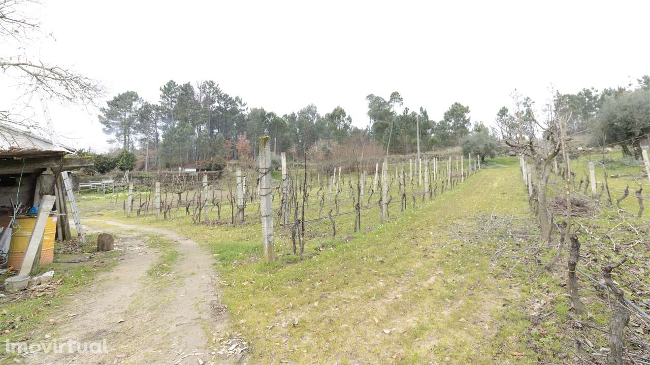 Terreno para Construção - São João de Lourosa - Grande imagem: 3/10