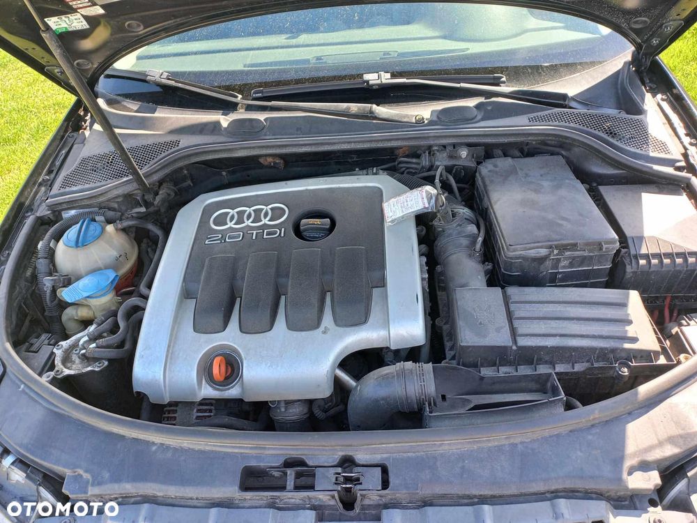Audi A3 2003 photo 5
