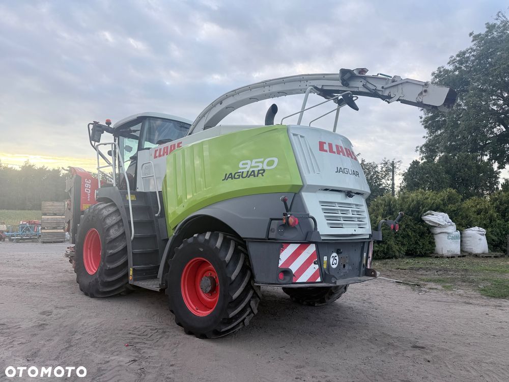 Claas Jaguar 950 - 2