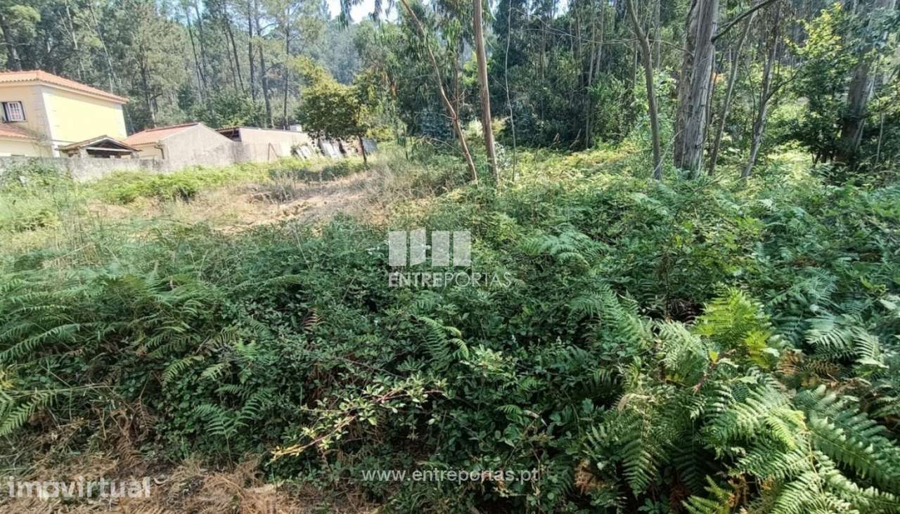 Venda de fantástico terreno para construção, Areosa, Viana do Caste - Grande imagem: 2/28