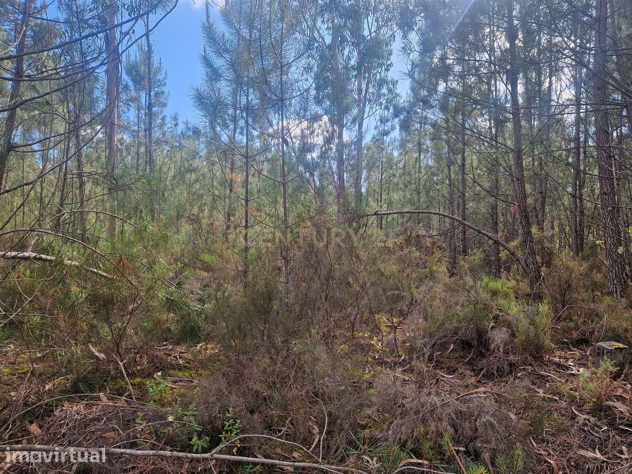 Terreno em Vagos com 770m² - Oportunidade Única! - Grande imagem: 4/5