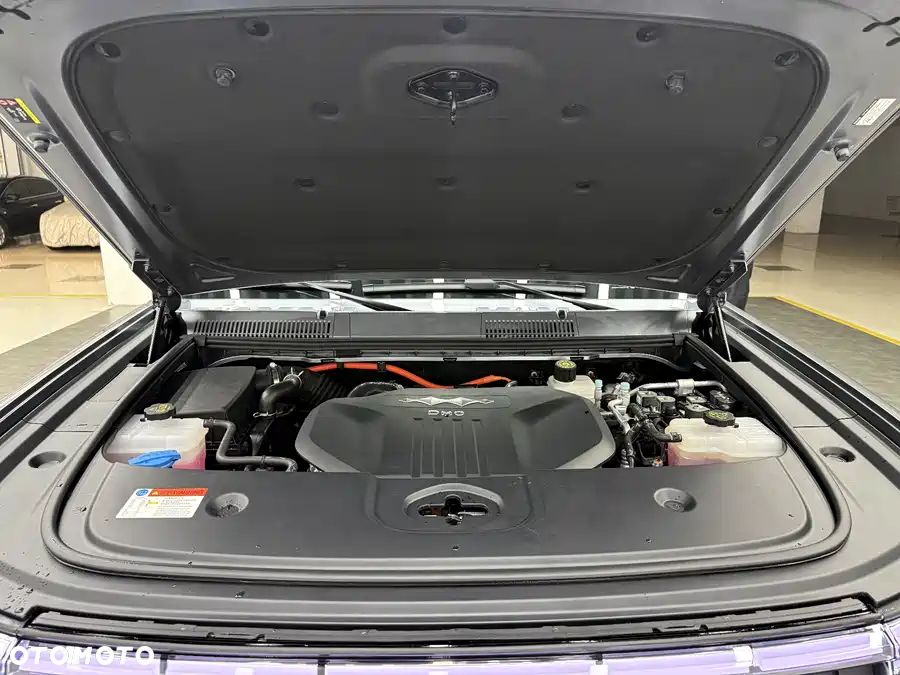 BYD Leopard 5 - 9