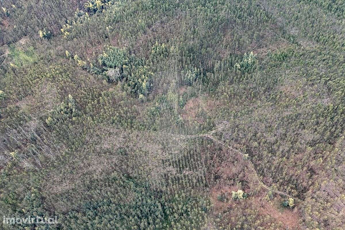 Terreno  para venda - Grande imagem: 3/10