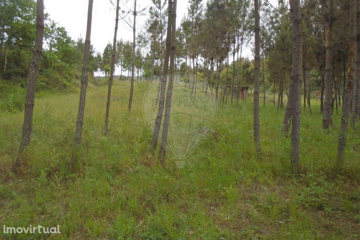 Terreno  para venda - Grande imagem: 4/12