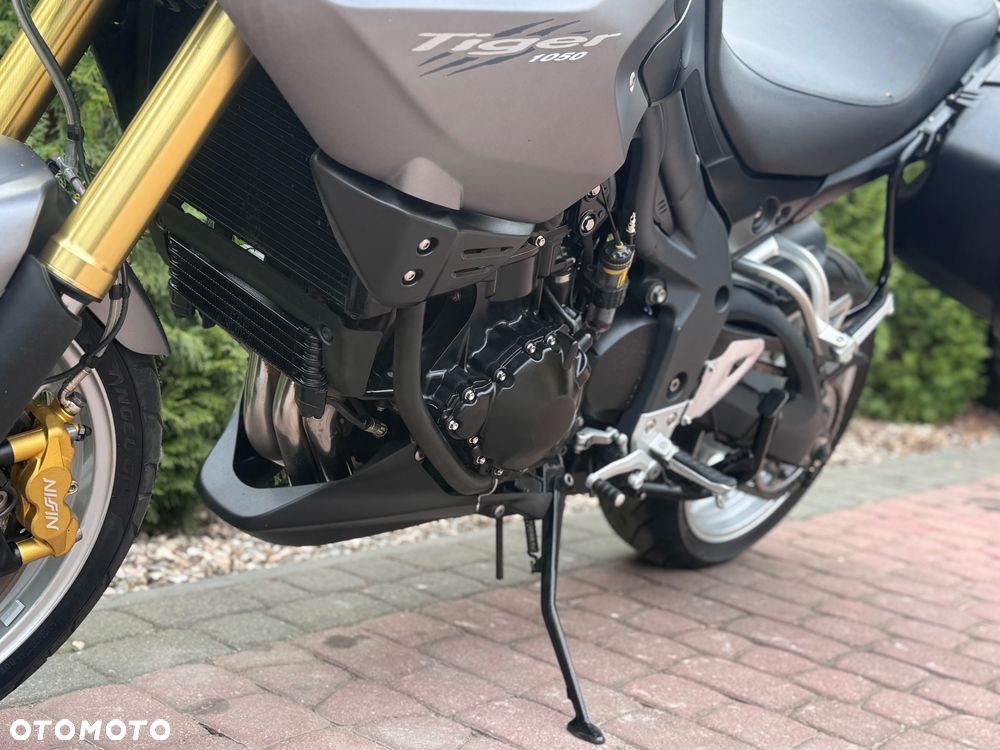 Triumph Tiger - 16