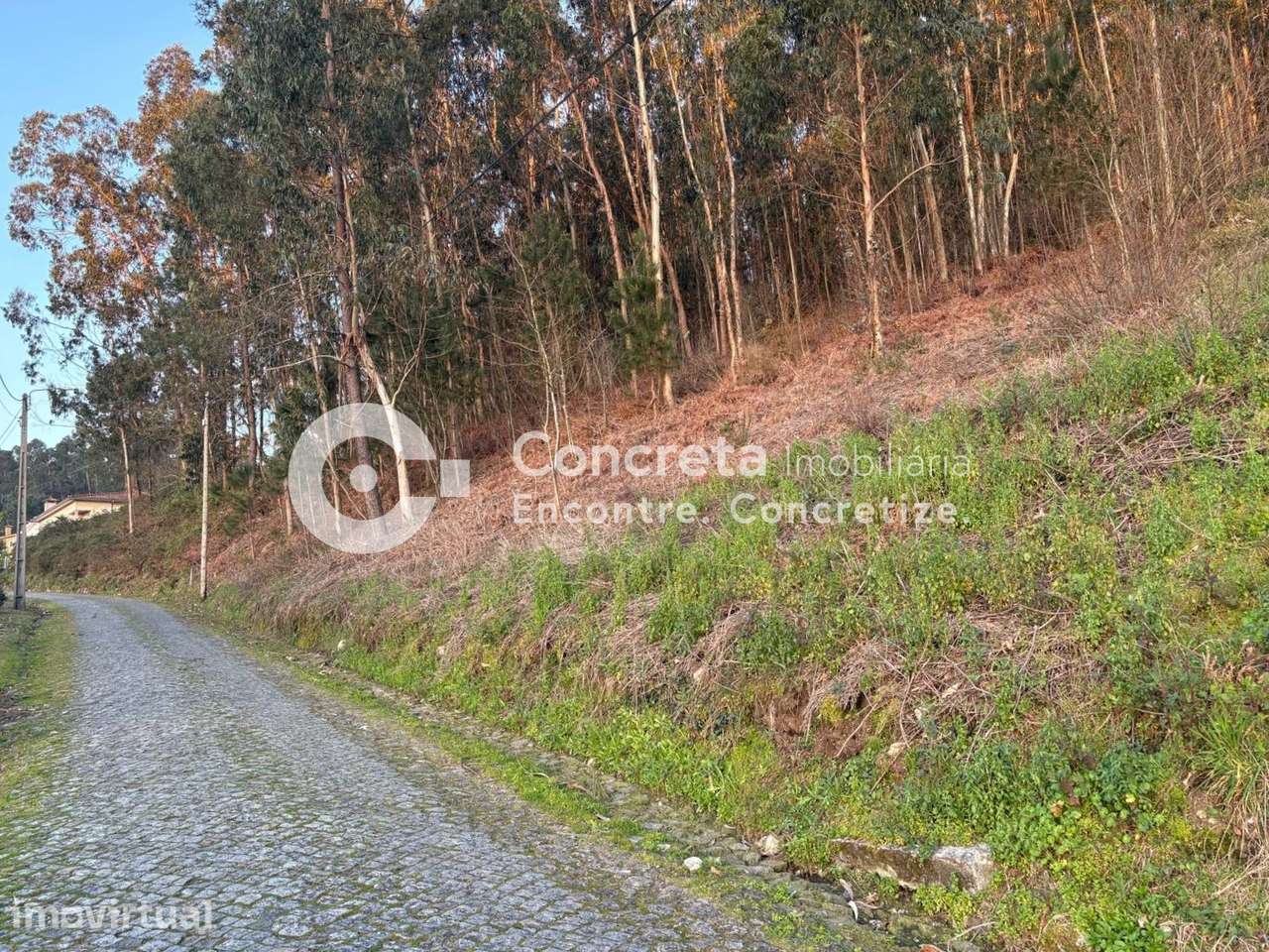 Terreno para construção em Moure, Barcelos - Grande imagem: 2/7