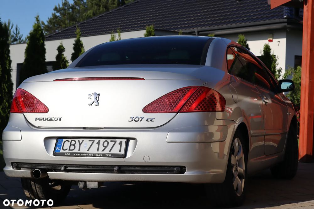 Peugeot 307 2.0 XS - 9