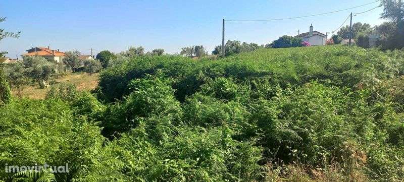 Terreno Cavernães - Viseu - Grande imagem: 4/11