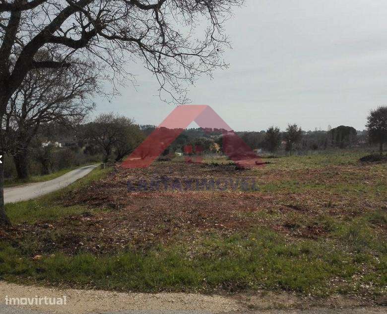 Terreno Rústico  Venda em Póvoa da Isenta,Santarém - Grande imagem: 4/4