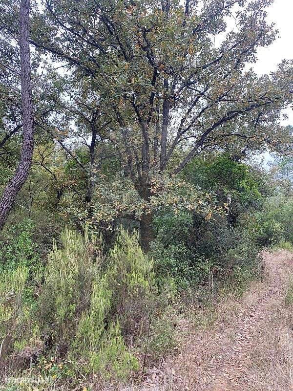 Terreno  para venda - Grande imagem: 3/3