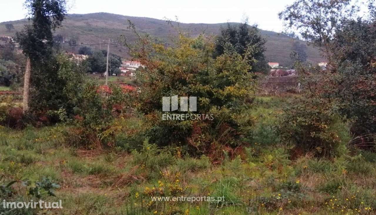 Venda de terreno para construção, Carvoeiro, Viana do Castelo - Grande imagem: 2/30