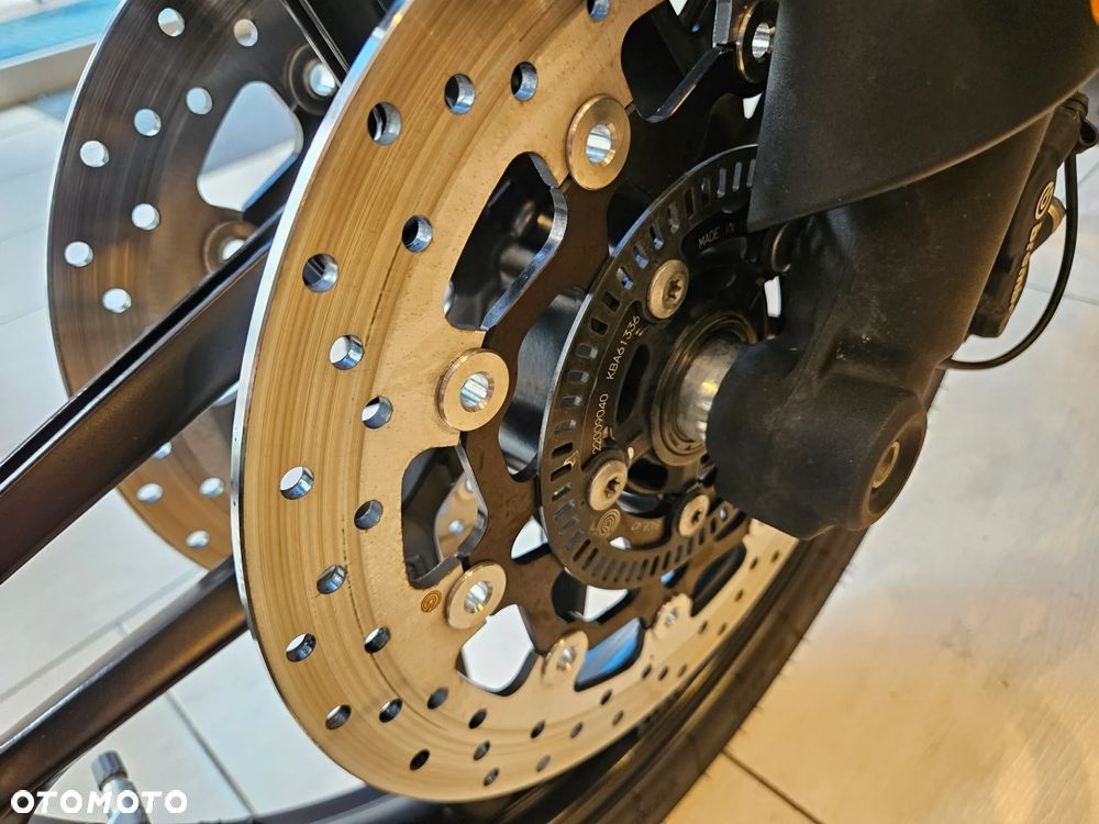 Triumph Tiger - 19