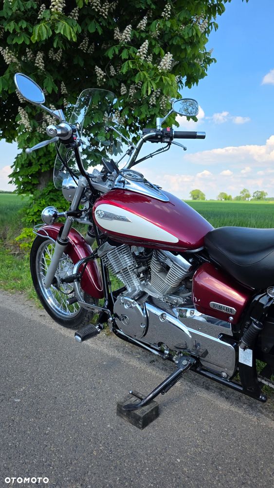 Yamaha Drag Star - 8