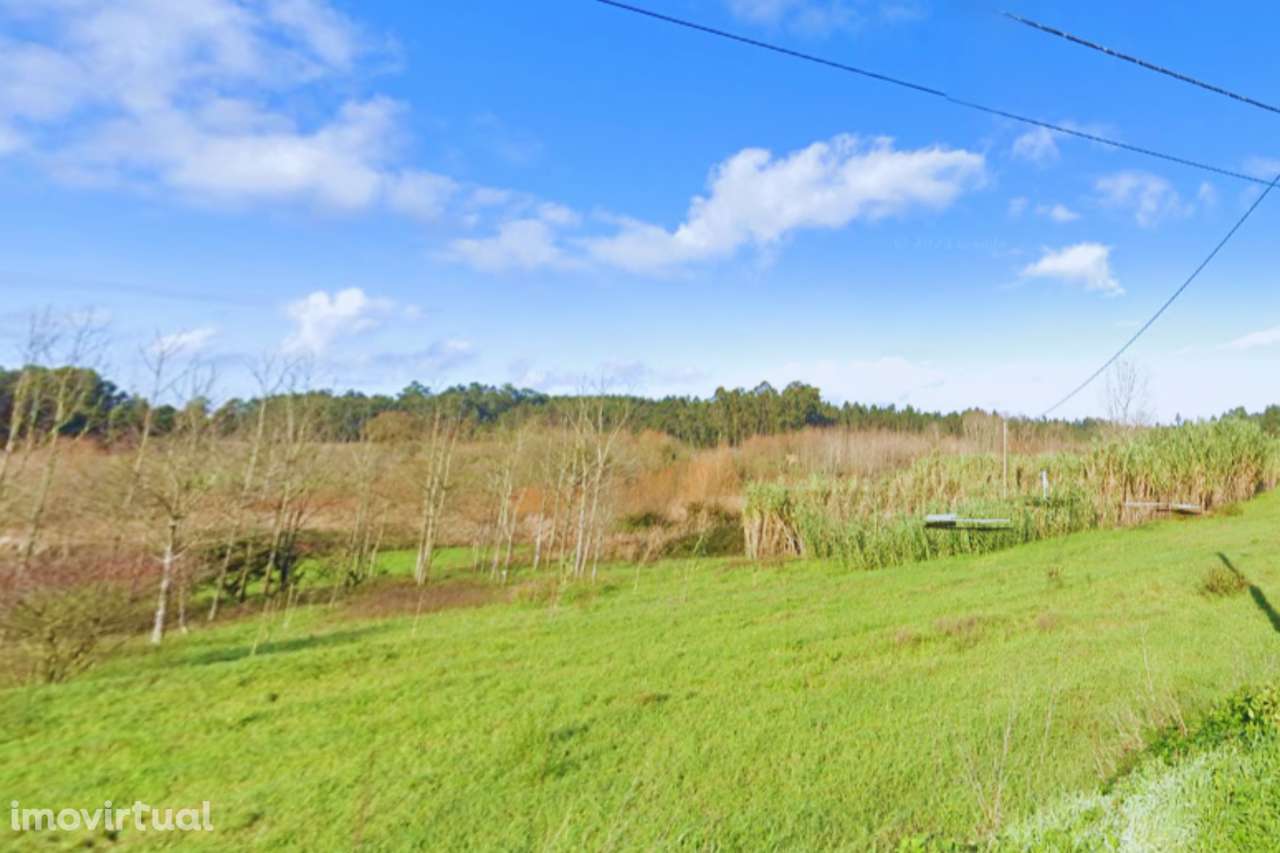 Terreno com viabilidade de construção - Grande imagem: 4/8