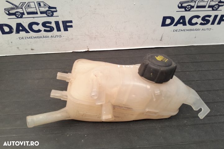 Vas expansiune 217100005R - 1.9 DCI 217100005R - 1.9 DCI Renault Mega - 2