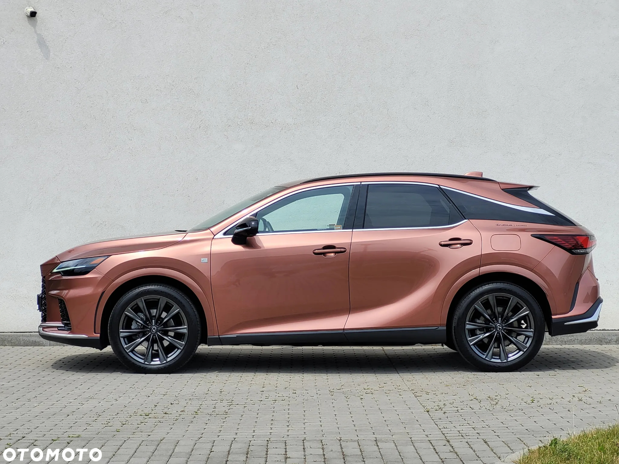 Lexus RX 350h F Sport Design - 19