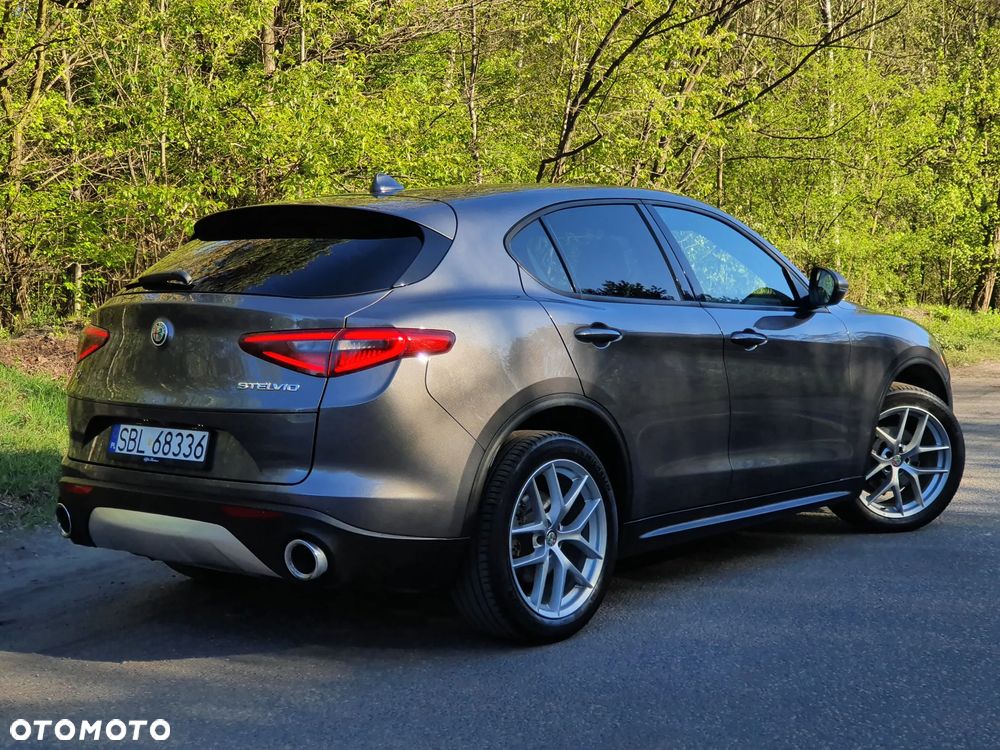 Alfa Romeo Stelvio 2.0 Turbo Q4 - 5