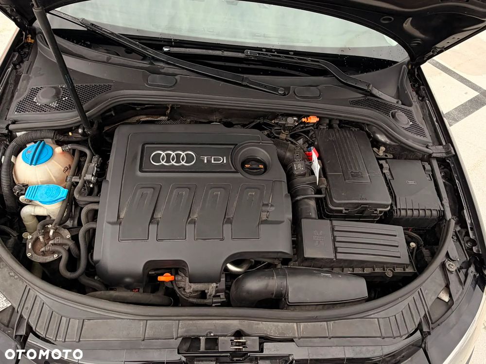Audi A3 3-drzwiowe 1.6 TDI DPF Ambiente - 14