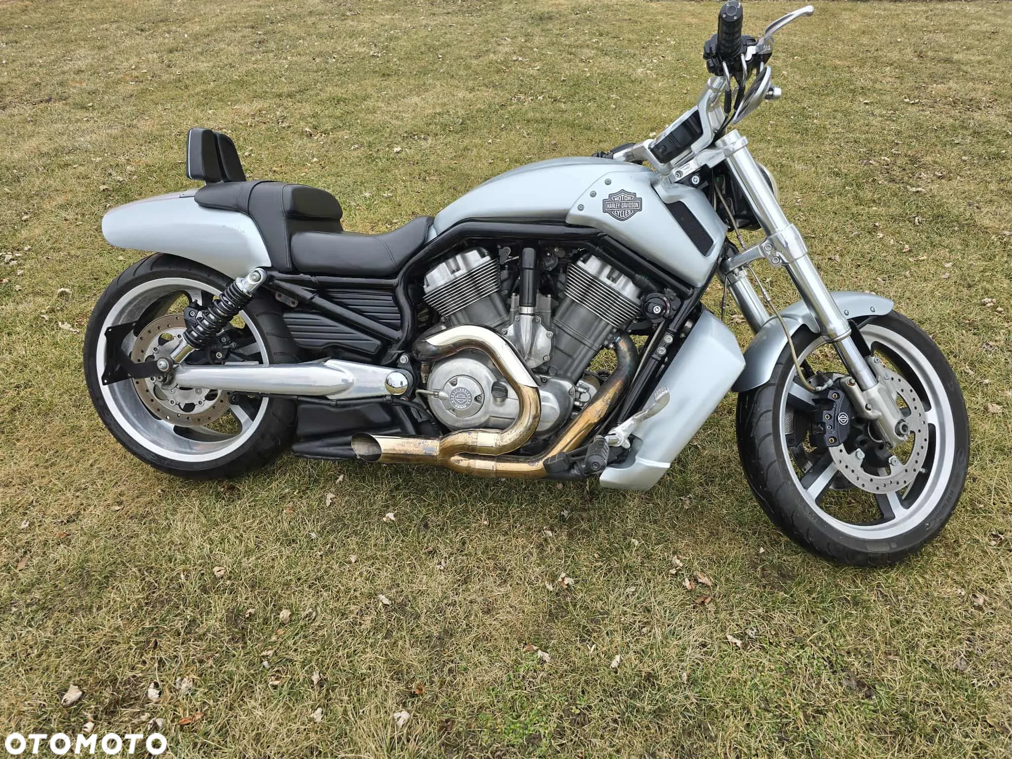Harley-Davidson V-Rod Muscle - 9