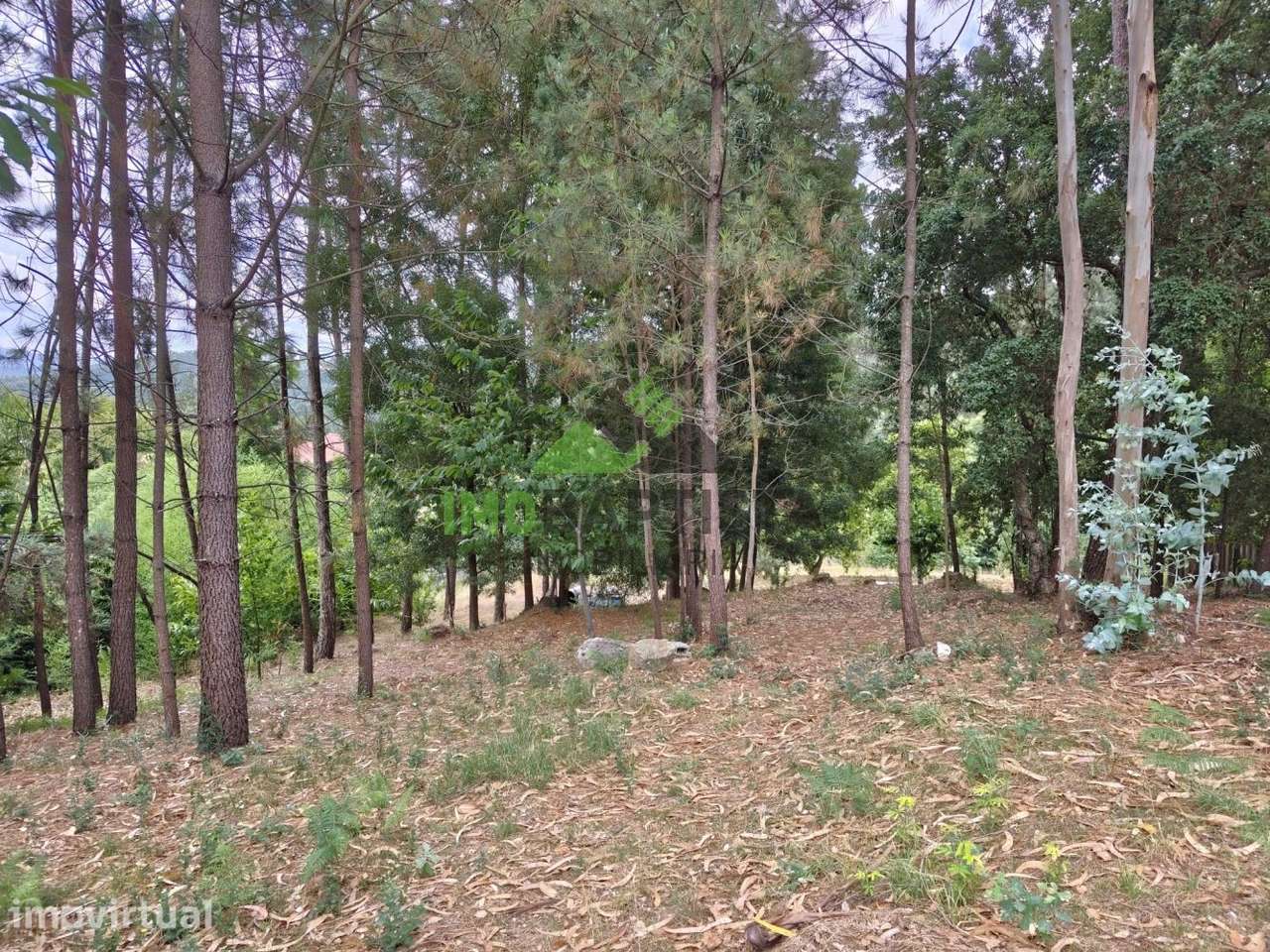 Terreno p/ construção em Crestuma (5414 m2) - Grande imagem: 4/16