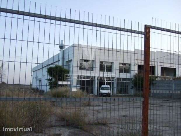 Stand Automóvel e Oficina com 1.080m² em Elvas - Grande imagem: 2/7